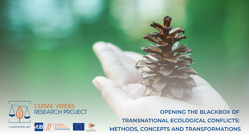 Expert Workshop: Opening the Black Box of Transnational Ecological Conflicts: Methods, Concepts and Transformations