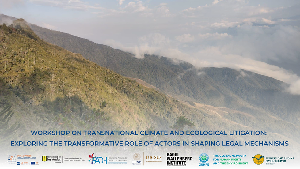 Transnational climate and ecological litigation: Exploring the transformative role of actors in shaping legal mechanisms