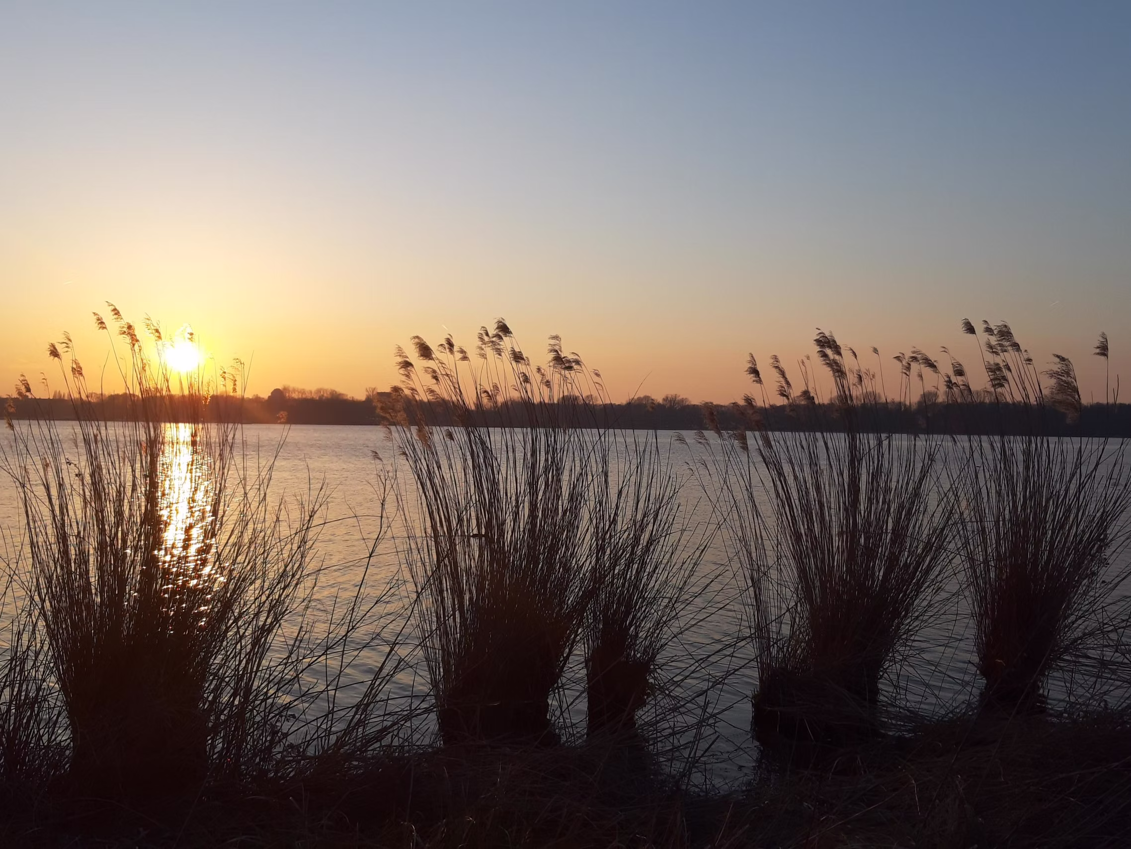 Special issue: Conflict and Cooperation: Cross-Border Water Governance in the Americas