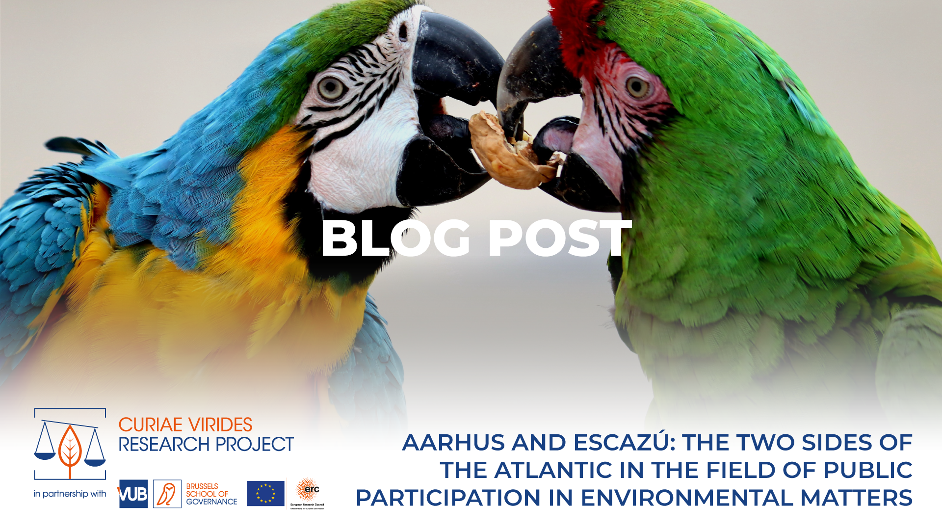 The two sides of the Atlantic in the field of public participation in environmental matters