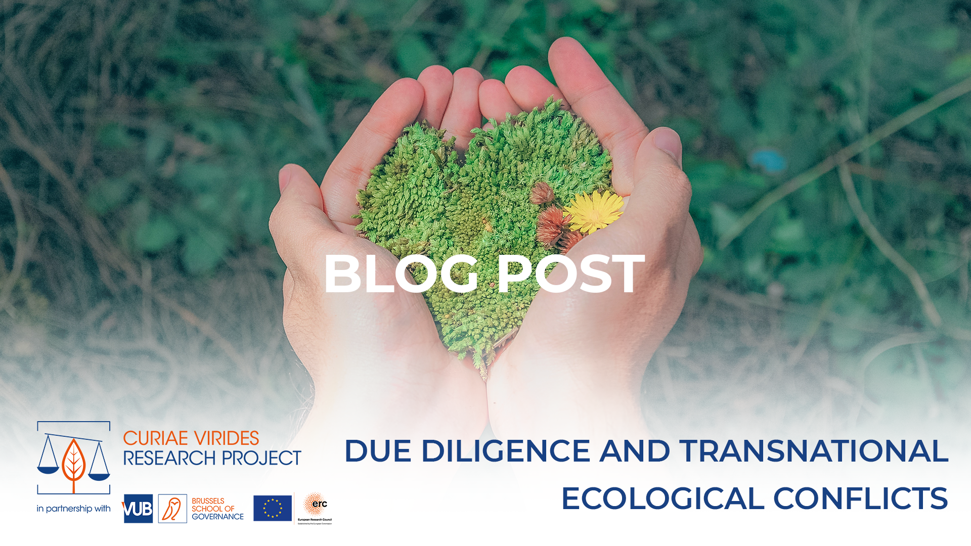 Due Diligence and Transnational Ecological Conflicts