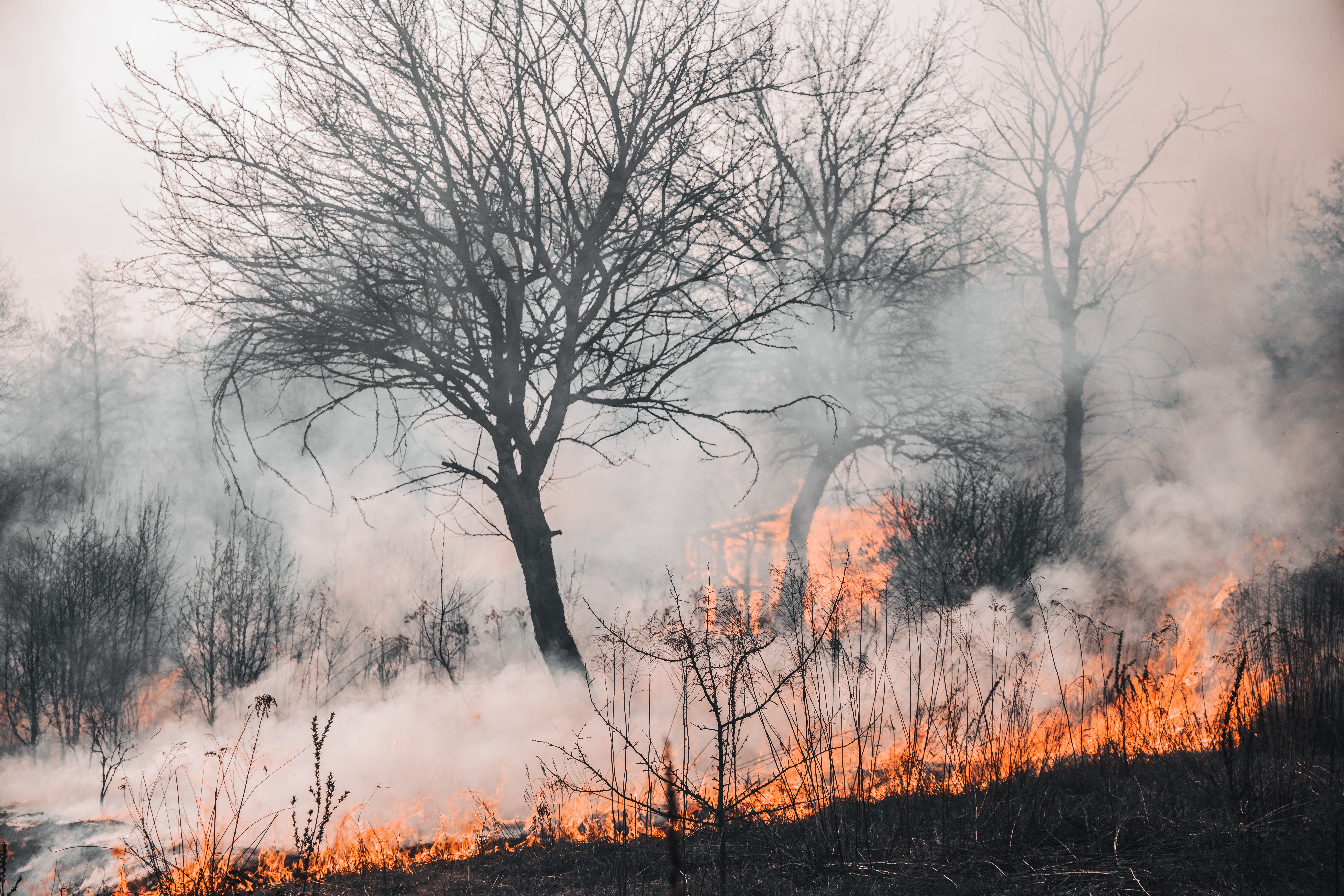 Forest Fires in Mediterranean Europe: Building Up to the Courts?