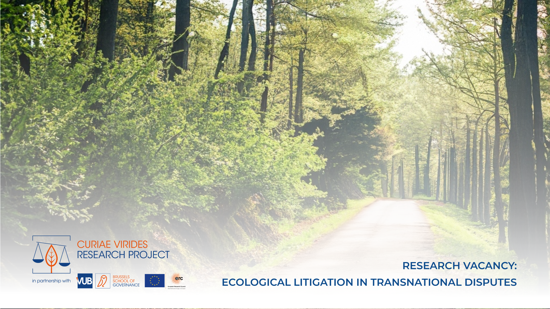 Researcher ERC Curiae Virides: Transnational Ecological Litigation