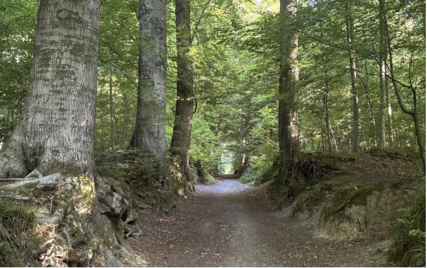 Is Aarhus in the Balance?